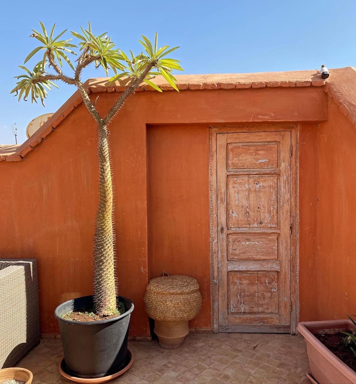 Riad Rossi Marakéš Exteriér fotografie
